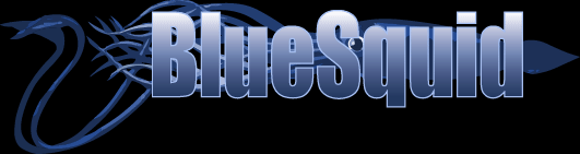 BlueSquid